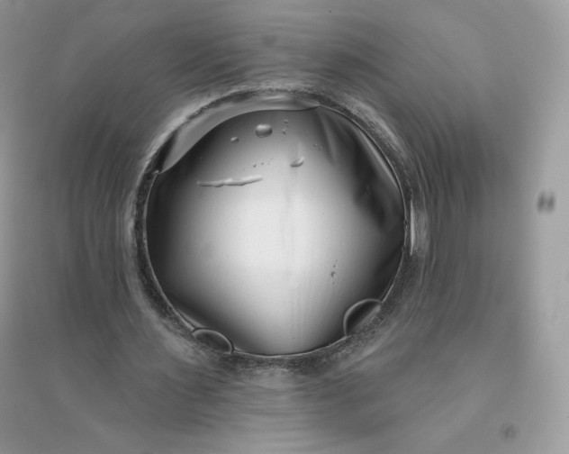X0000096130483200802011152