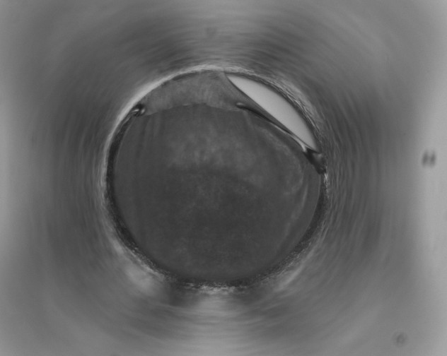 X0000096130484200802011152