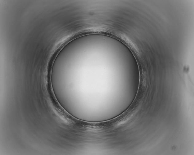 X0000096130486200802011152