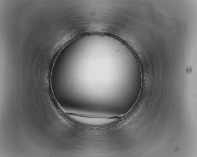 X0000096130489200802011151