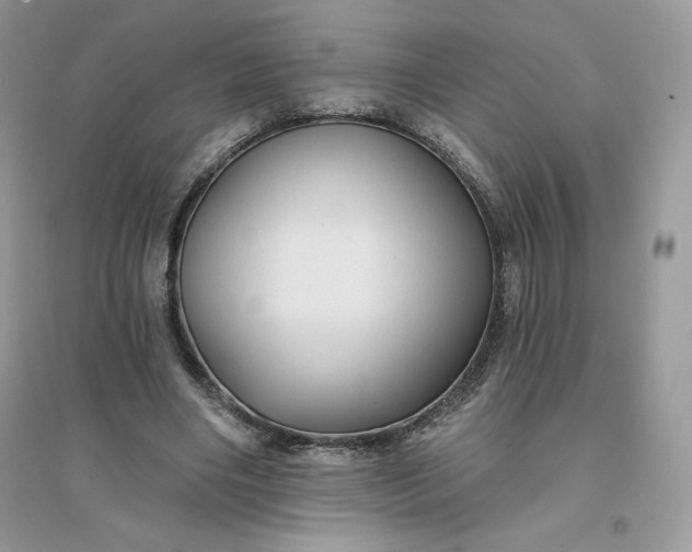X0000096130490200802011151