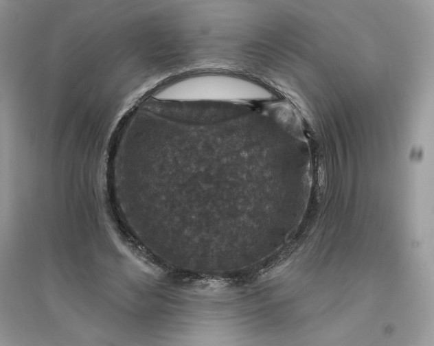 X0000096130492200802011151