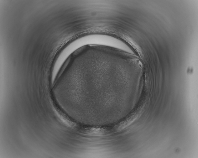 X0000096130493200802011151