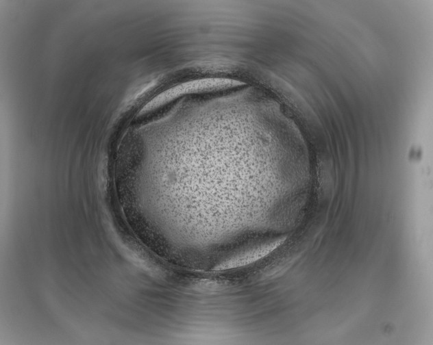 X0000096130494200802011151