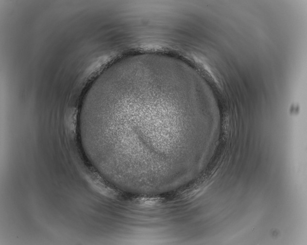 X0000096130495200802011151
