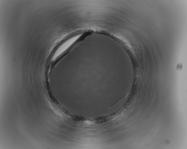 X0000096130496200802011151