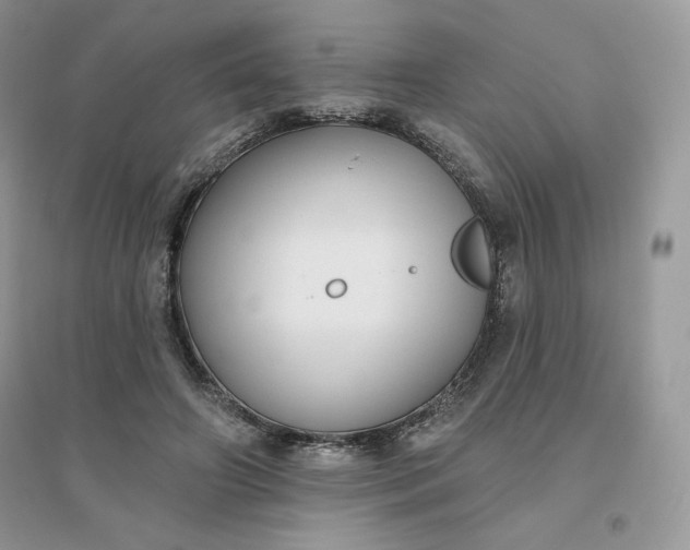 X0000096130498200802011151