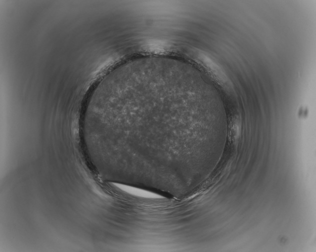 X0000096130500200802011151