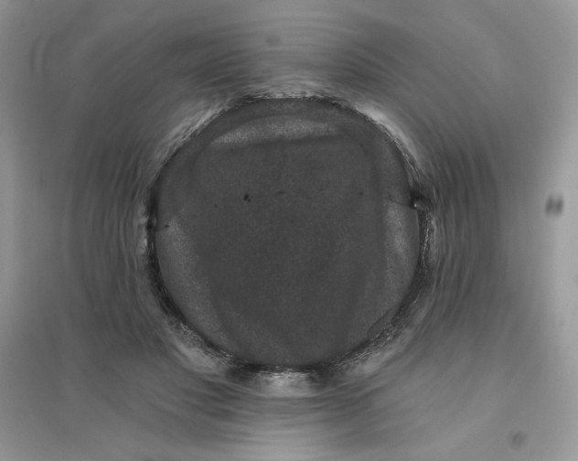 X0000096130501200802011151