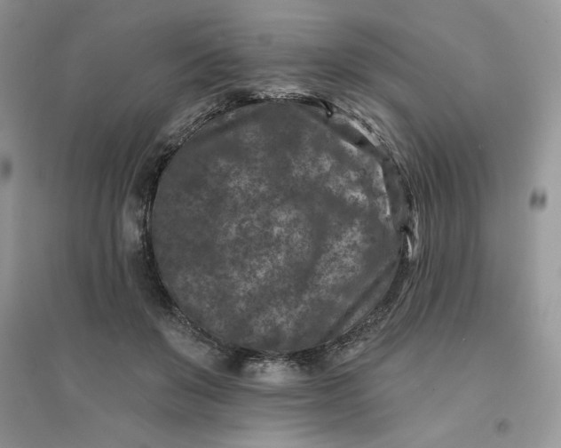 X0000096130503200802011151