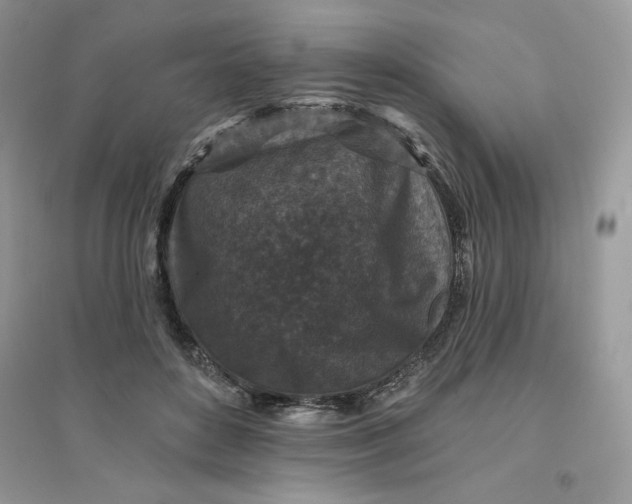 X0000096130504200802011151
