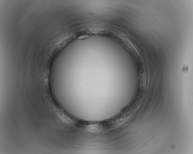 X0000096130505200802011151