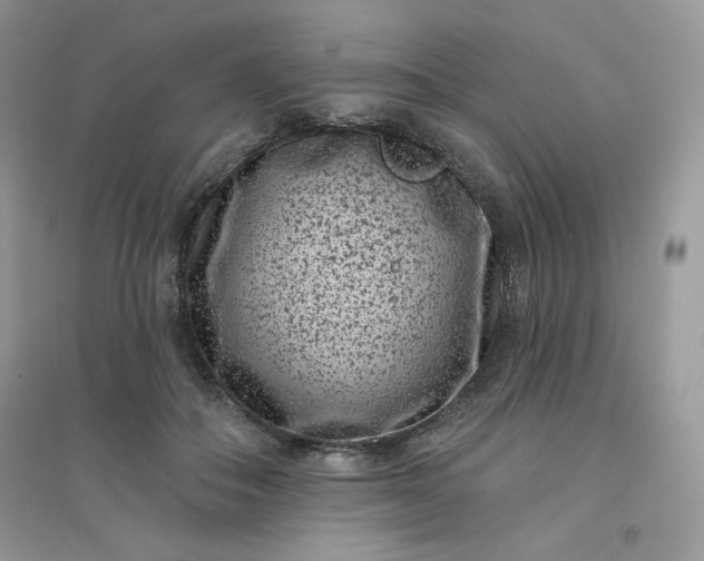 X0000096130506200802011151