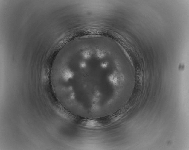 X0000096130507200802011151