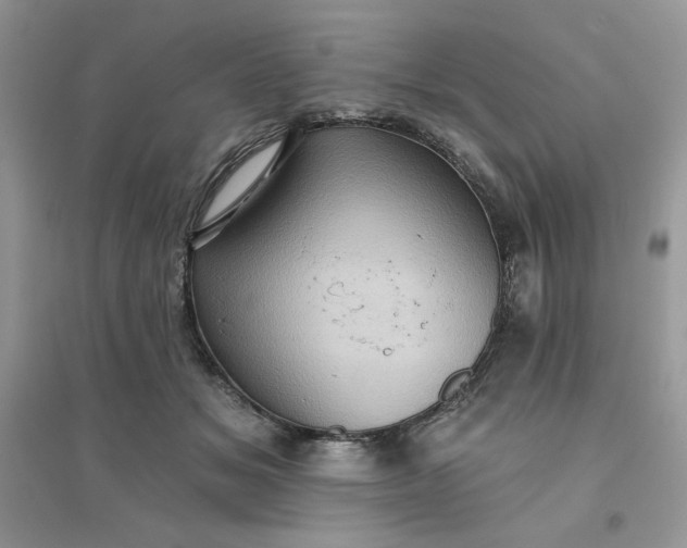 X0000096130509200802011151