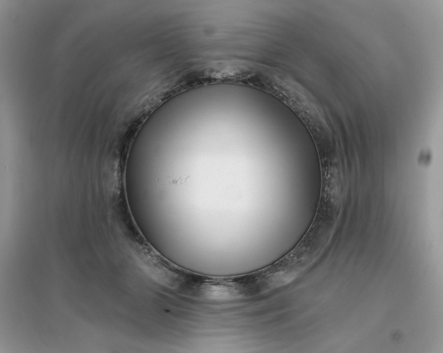 X0000096130510200802011151
