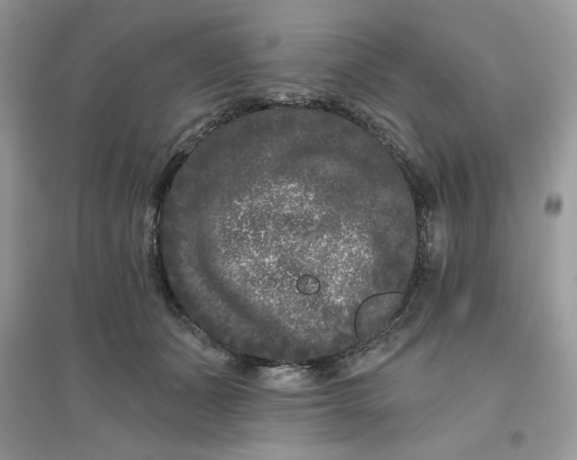 X0000096130511200802011151