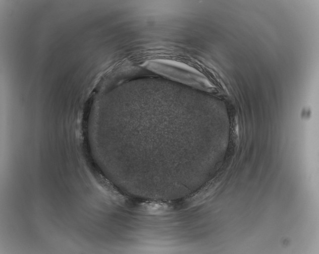 X0000096130512200802011151