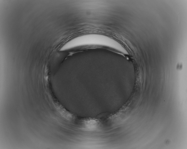 X0000096130513200802011151