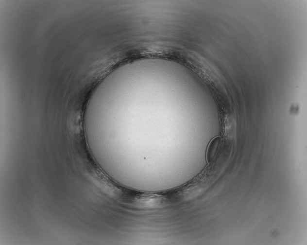 X0000096130514200802011151