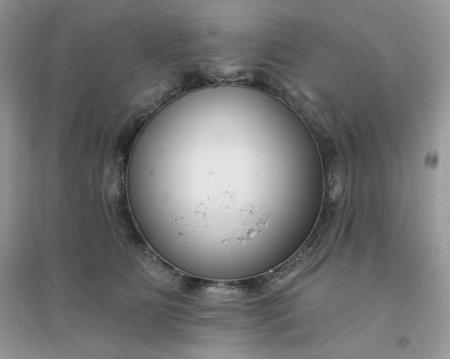 X0000096130515200802011151