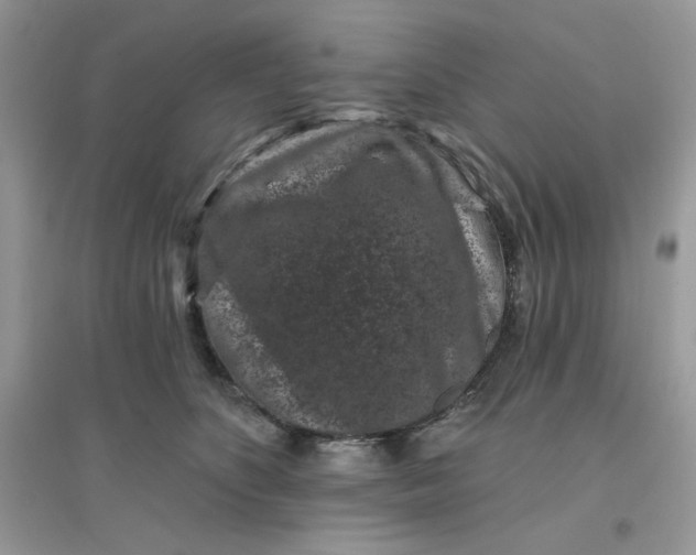 X0000096130516200802011151