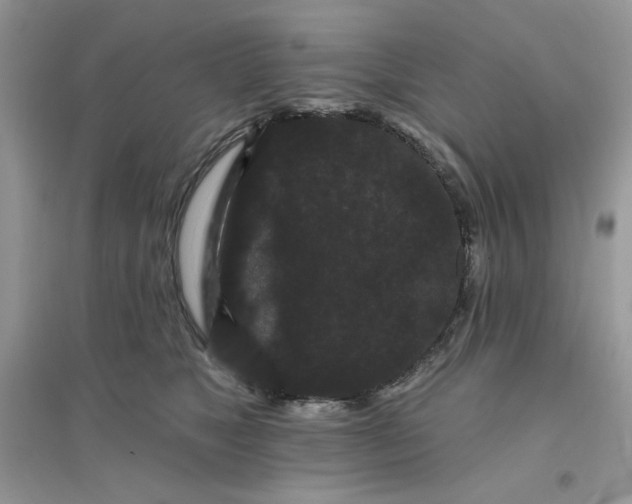 X0000096130517200802011151
