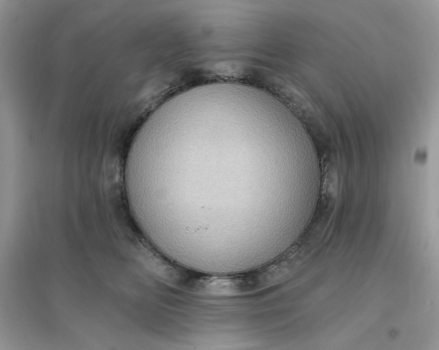 X0000096130518200802011151