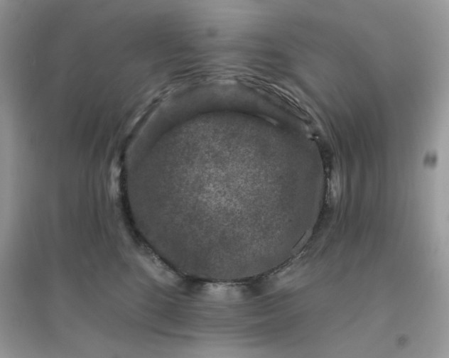 X0000096130520200802011151