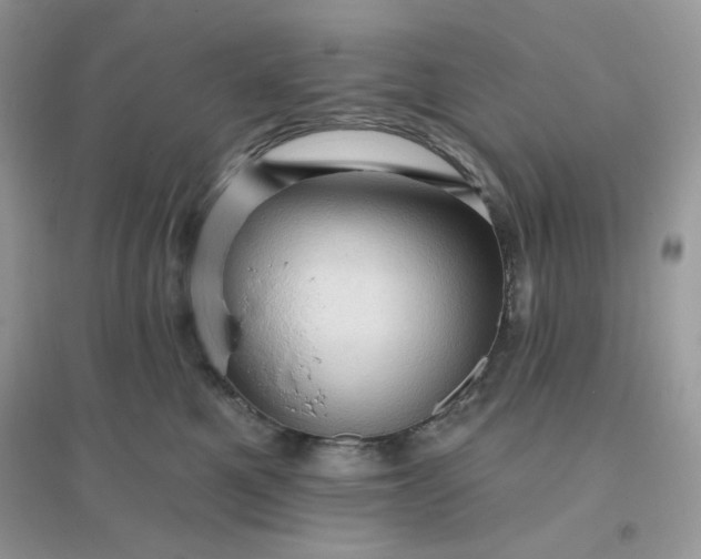 X0000096130521200802011151