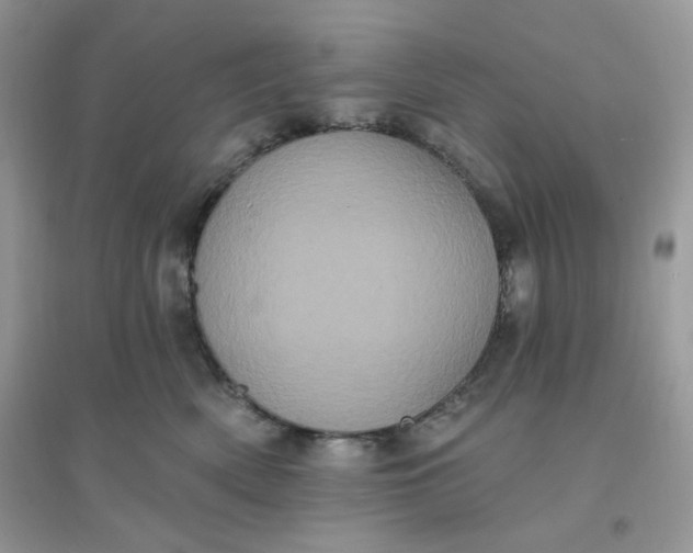 X0000096130522200802011151