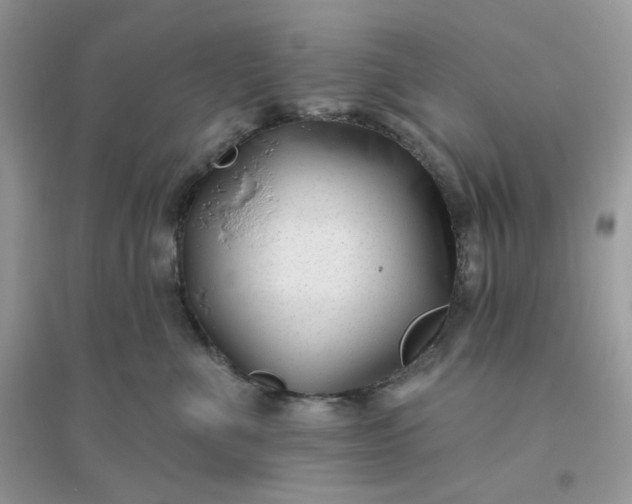 X0000096130523200802011151