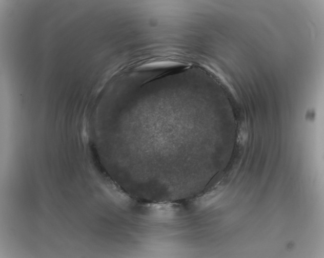 X0000096130524200802011151