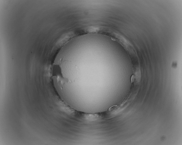 X0000096130525200802011151