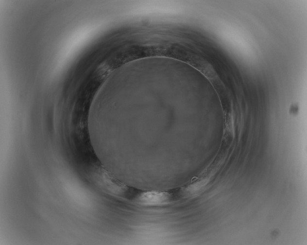 X0000096130526200802011151