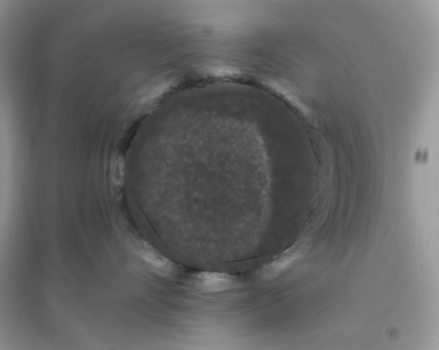 X0000096130528200802011151