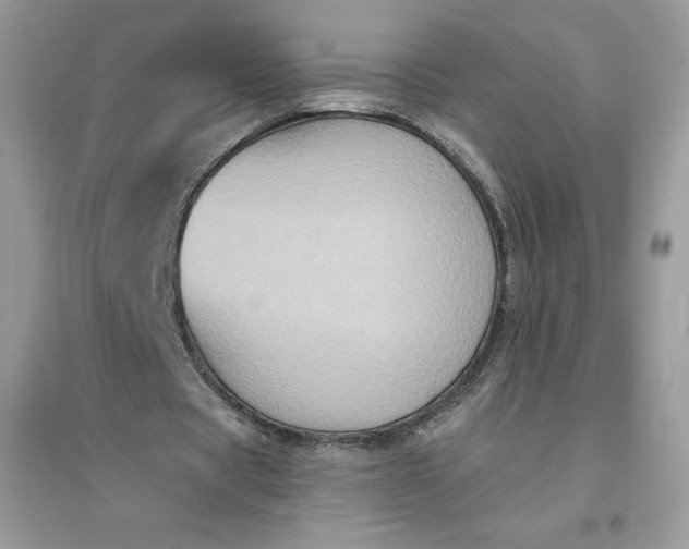X0000096130529200802011150