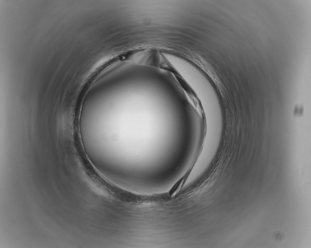 X0000096130530200802011150