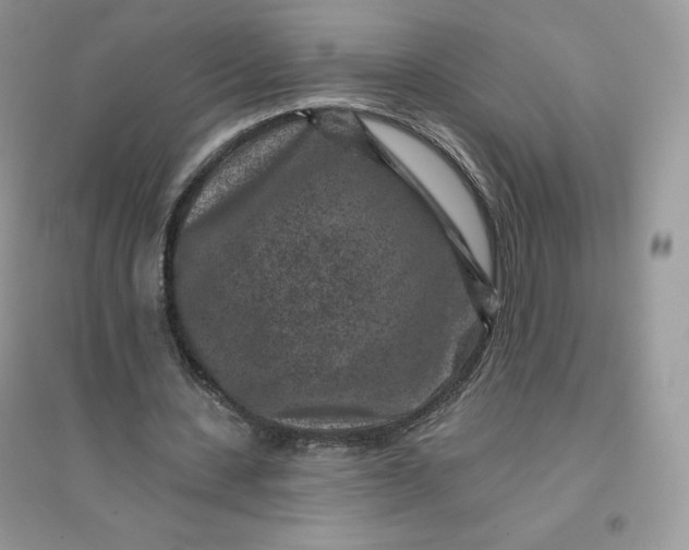 X0000096130531200802011150