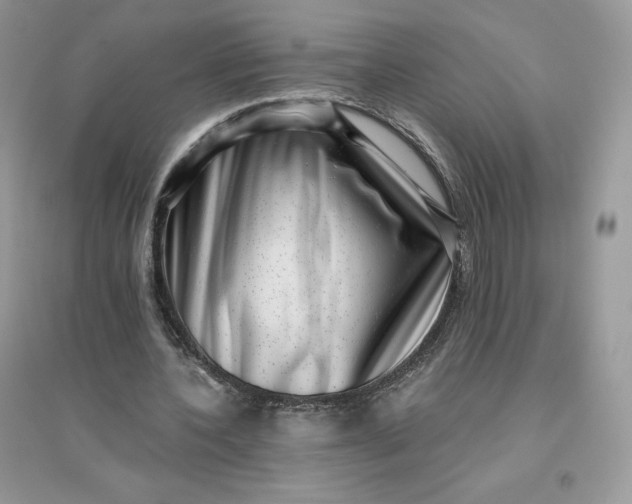 X0000096130532200802011150