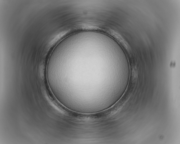 X0000096130533200802011150