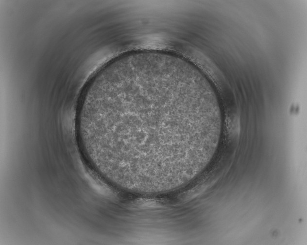 X0000096130534200802011150
