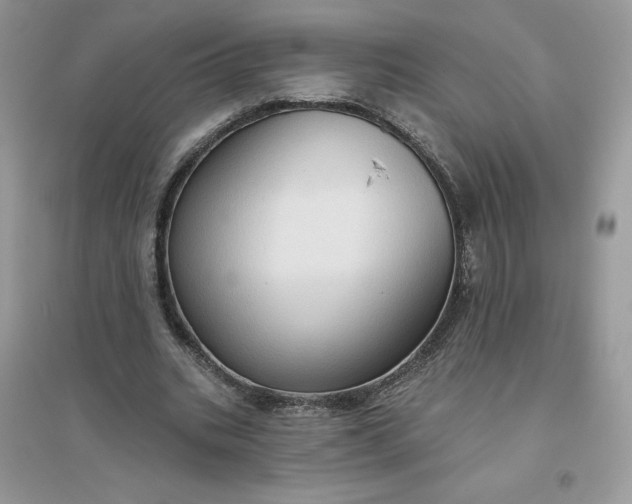 X0000096130535200802011150