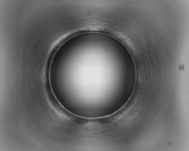 X0000096130536200802011150