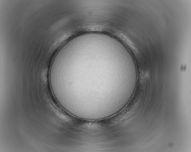 X0000096130537200802011150
