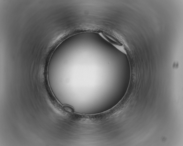 X0000096130538200802011150