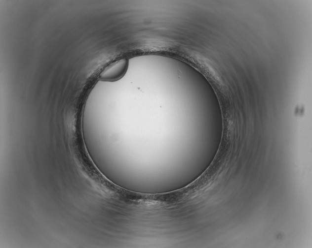 X0000096130539200802011150