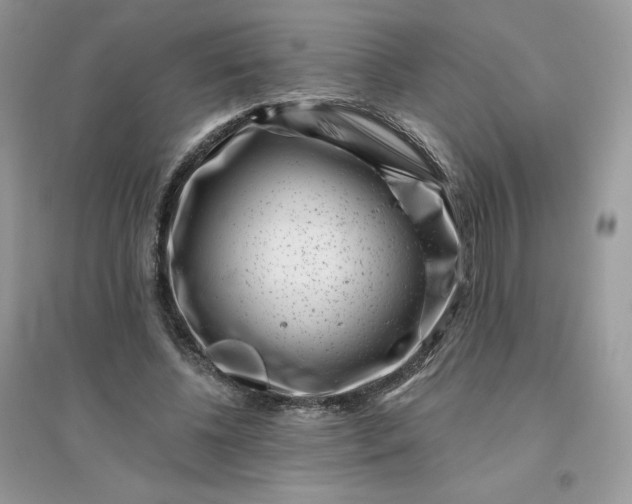 X0000096130540200802011150
