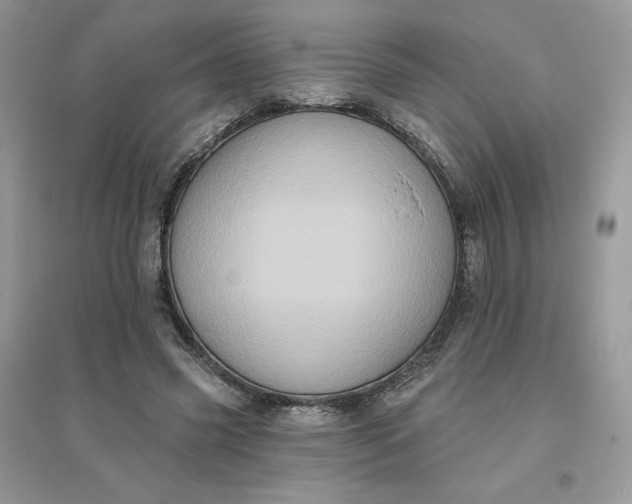 X0000096130541200802011150