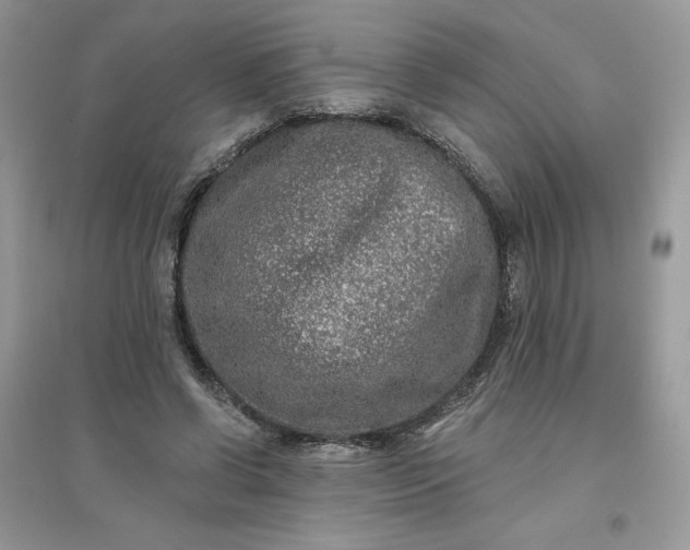 X0000096130542200802011150